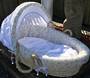 Botanical's "NZ Clematis" Lined,Baby Trenz Moses Basket